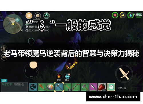 老马带领魔鸟逆袭背后的智慧与决策力揭秘