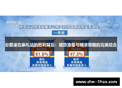 谷爱凌在崇礼站的胜利背后:细致准备与精准策略的完美结合 谷爱凌在崇礼站的胜利背后:细致准备与精准策略的完美结合