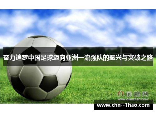 奋力追梦中国足球迈向亚洲一流强队的振兴与突破之路