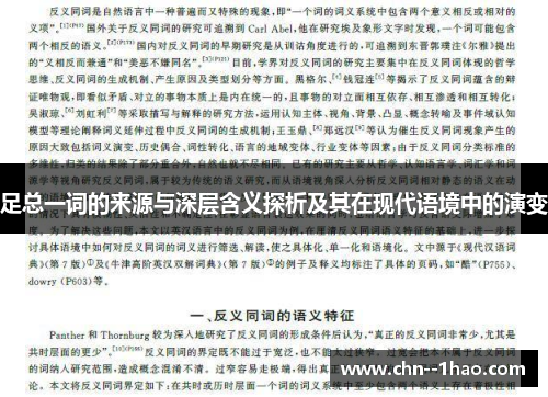 足总一词的来源与深层含义探析及其在现代语境中的演变