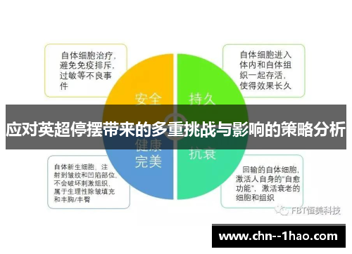 应对英超停摆带来的多重挑战与影响的策略分析