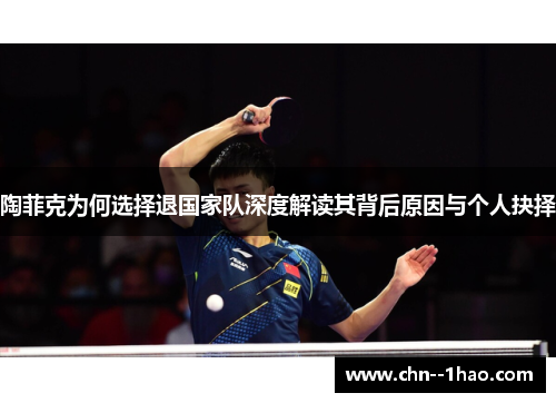 陶菲克为何选择退国家队深度解读其背后原因与个人抉择