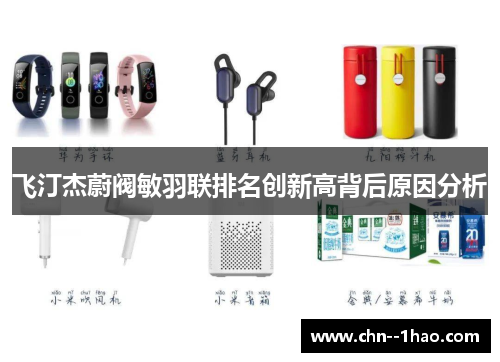 飞汀杰蔚阀敏羽联排名创新高背后原因分析