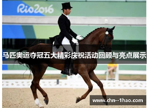 马匹奥运夺冠五大精彩庆祝活动回顾与亮点展示 马匹奥运夺冠五大精彩庆祝活动回顾与亮点展示
