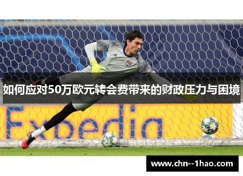 如何应对50万欧元转会费带来的财政压力与困境