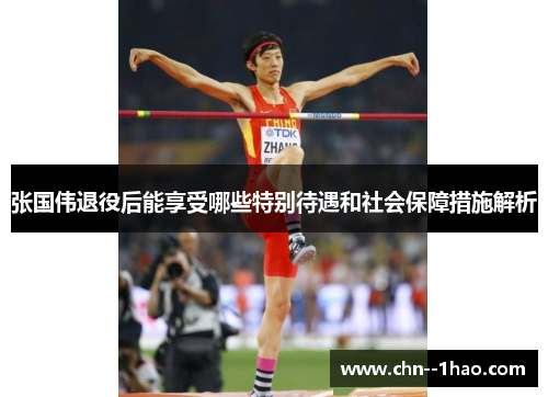 张国伟退役后能享受哪些特别待遇和社会保障措施解析