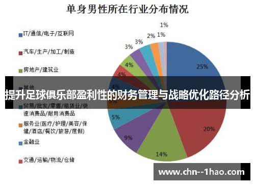 提升足球俱乐部盈利性的财务管理与战略优化路径分析