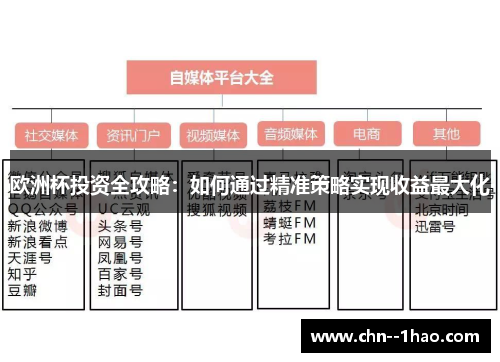 欧洲杯投资全攻略：如何通过精准策略实现收益最大化