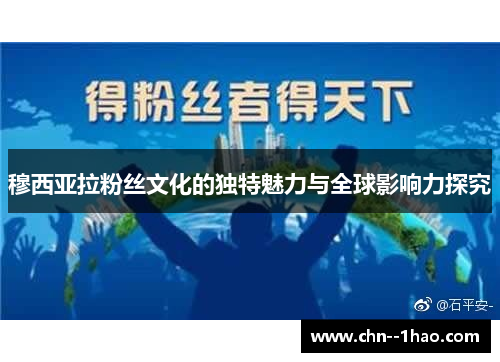 穆西亚拉粉丝文化的独特魅力与全球影响力探究