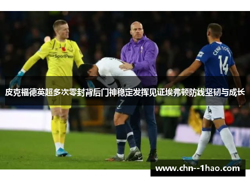 皮克福德英超多次零封背后门神稳定发挥见证埃弗顿防线坚韧与成长